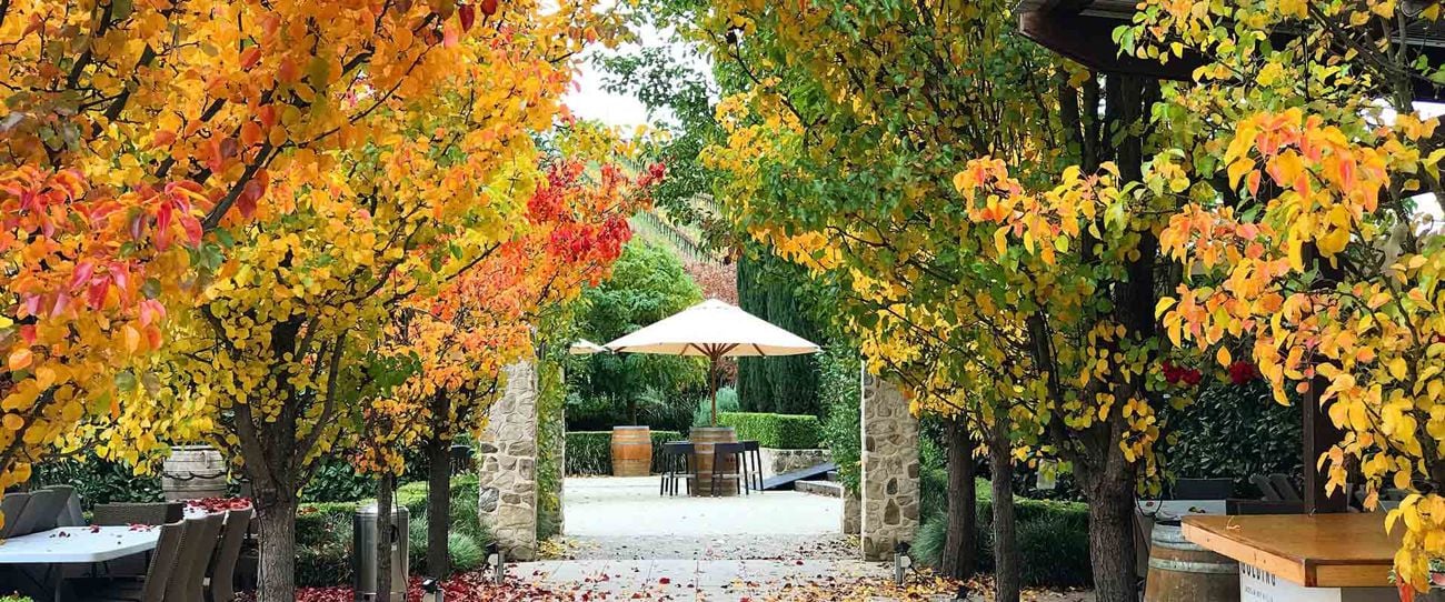 Golding Wines, Lobethal