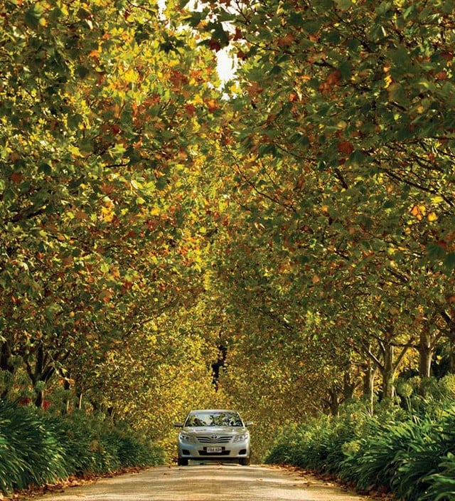 Vehicle & equipment hire in South Australia