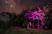 Enchanted Fig Tree, Kangaroo Island 1920x800