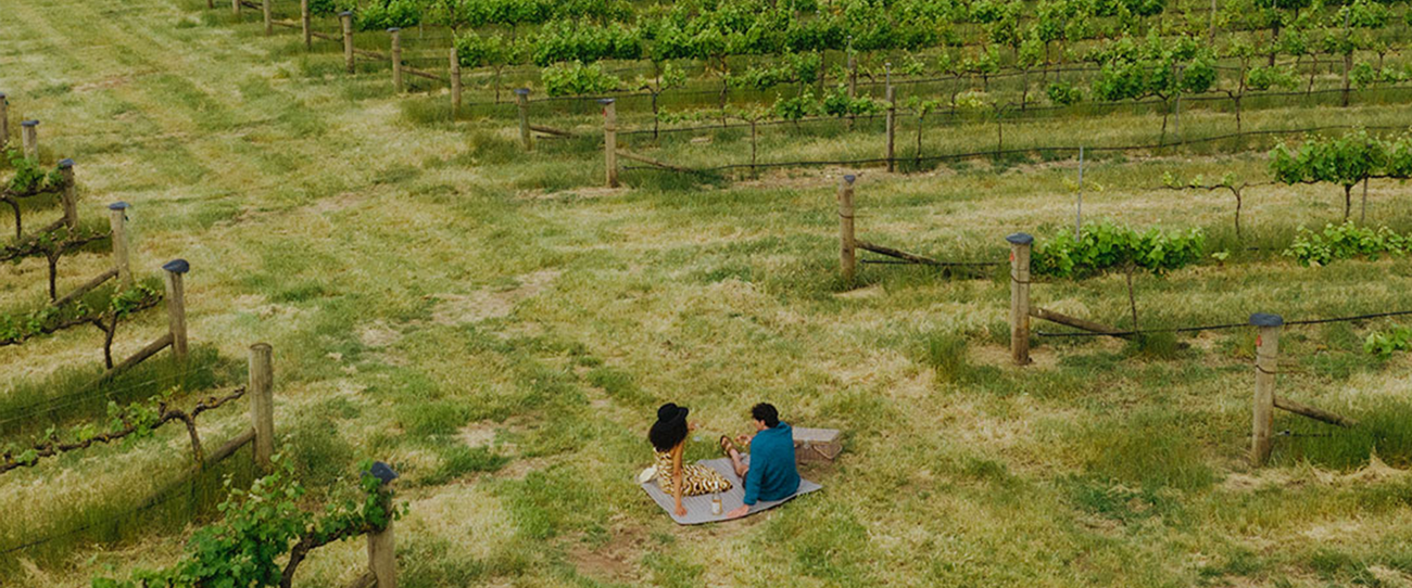 Bay of Shoals Wines